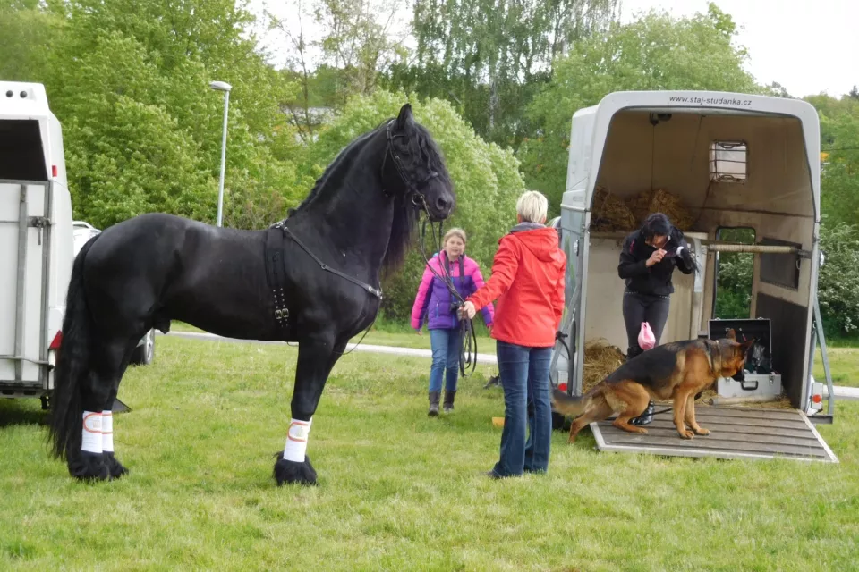 Reiten in der Tschechischen Republik: Region Pilsen
