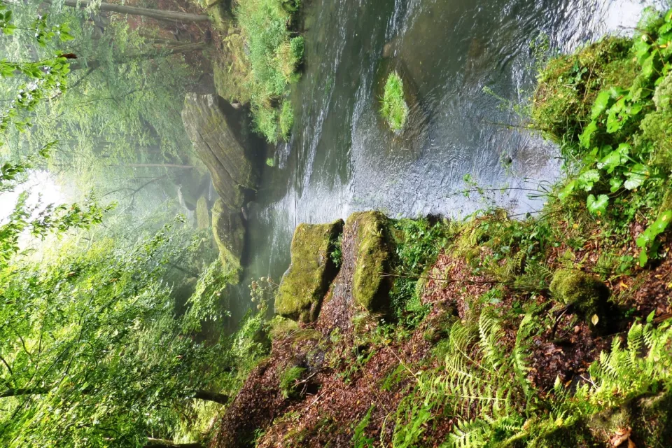 czech-nature-tour-experience-czech-republic