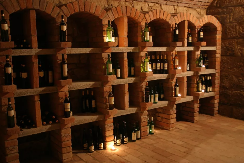 Wine Tasting with Moravian Music in the Czech Republic: in the cellar or among the horses