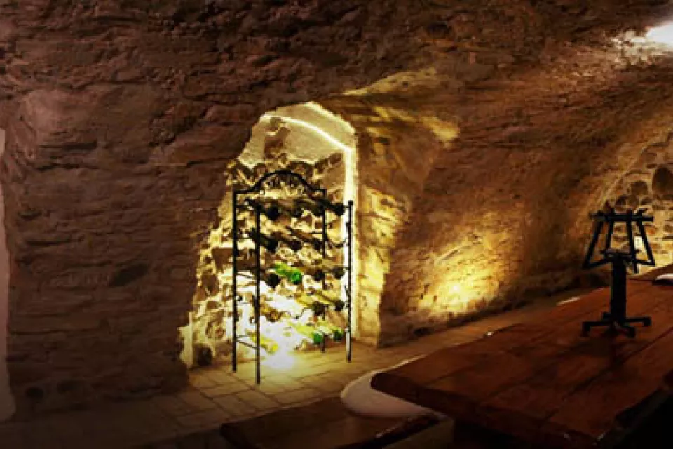 Wine Tasting with Moravian Music in the Czech Republic: in the cellar or among the horses