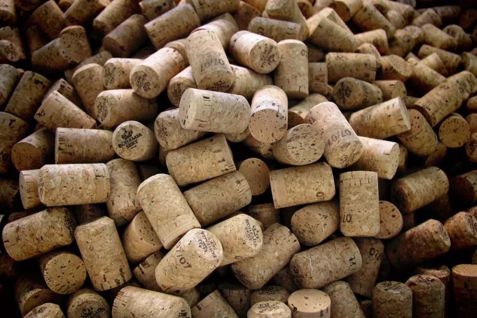 Wine Factory Tour with Wine Tasting in the Czech Republic: Pilsen Region