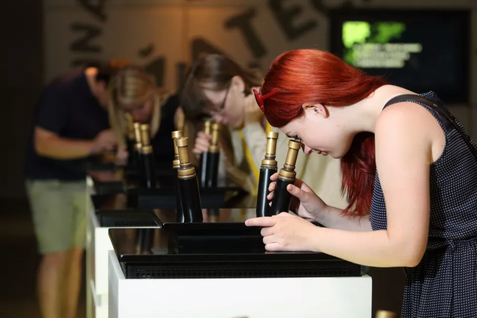 Beer and Brewery Tour in the Czech Republic: Pilsner Urquell in Pilsen