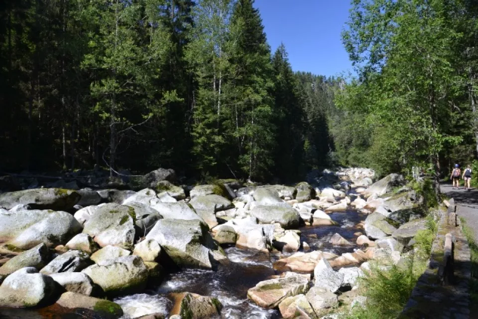 Naturschutzgebiete in Tschechien: Böhmerwald-Rundfahrt