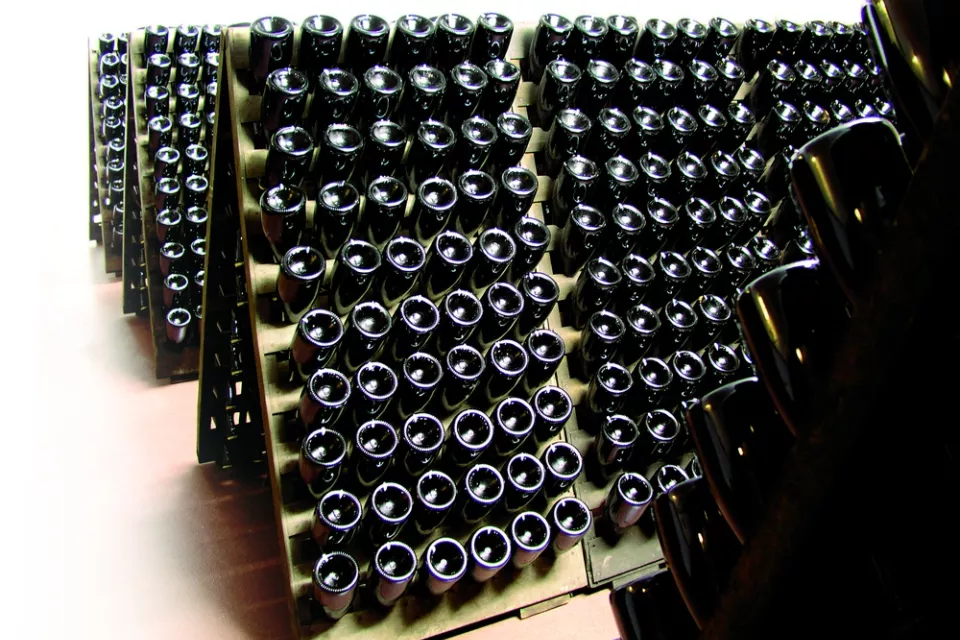 Wine Factory Tour with Wine Tasting in the Czech Republic: Pilsen Region