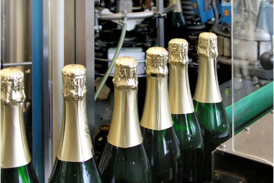 Wine Factory Tour with Wine Tasting in the Czech Republic: Pilsen Region