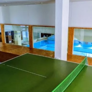 Green Wellness Pools Saunas Apartment with Alpine view Terrace