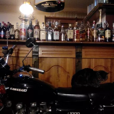 Cycle Beer Trip in the Czech Republic: Pilsen Region Cycleway