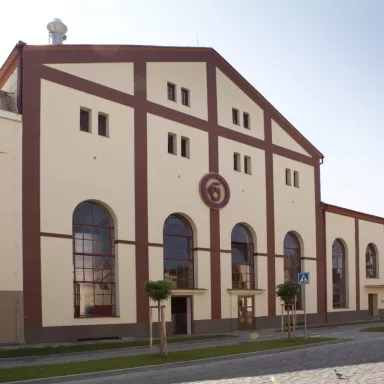 Brewing Beer & Brewery Tour in the Czech Republic: Gambrinus Party in Pilsen