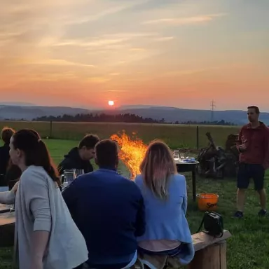 Wine Tasting with Moravian Music in the Czech Republic: in the cellar or among the horses