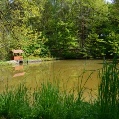 Fishing Experience in the Czech Republic: Bohemia