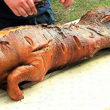 Pig Grilling in the Czech Republic: Pilsen Region