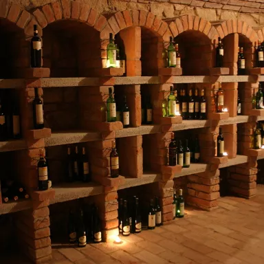 Wine Tasting with Moravian Music in the Czech Republic: in the cellar or among the horses