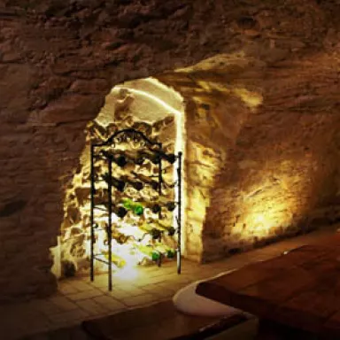 Wine Tasting with Moravian Music in the Czech Republic: in the cellar or among the horses