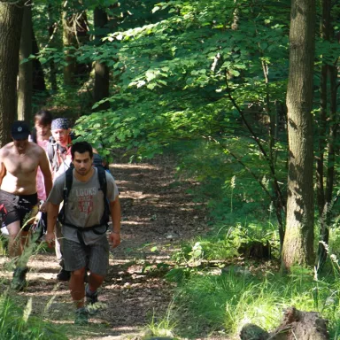 Survival Camp in the Czech Republic: Bohemian Mountains