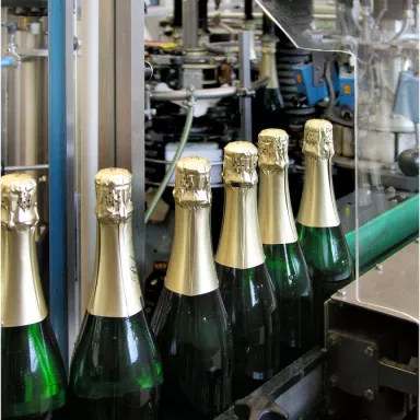 Wine Factory Tour with Wine Tasting in the Czech Republic: Pilsen Region